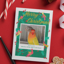 Volkskeunst vogels, aangepaste kerstfoto