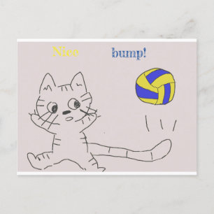 vollayball-kattenkaart briefkaart