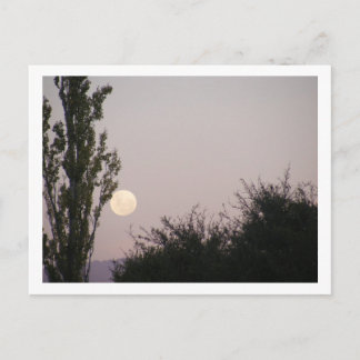 volle maan briefkaart