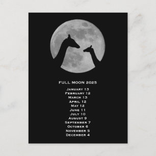 Volle Maan Giraffe 2025 Briefkaart