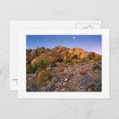 " Volle Maan Ondergaand Boven Ring Of Fire" Briefkaart (Voorkant / Achterkant)