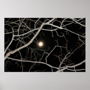 Volle maan op de webposter poster