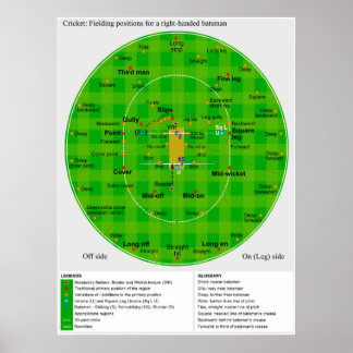 Volledig diagram van cricketposities poster