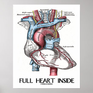 Volledig hart in anatomische illustratie poster