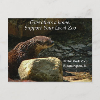 Volledig Schattig Briefkaart