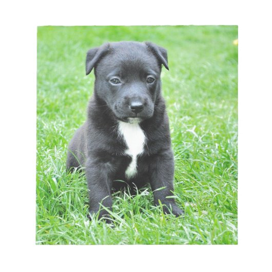 Volledig Schattige Puppy Notitieblok (Voorkant)