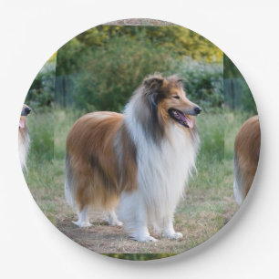 volledige 5 ruwe collie.png papieren bordje