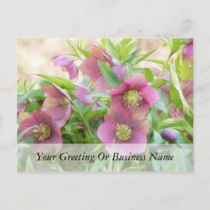 Volledige bloem - Hellebores! Briefkaart