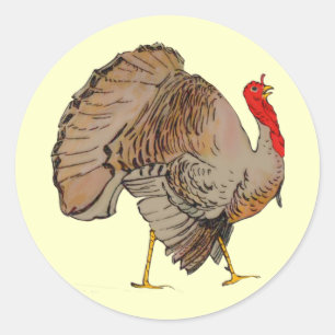 Volledige kleuren Thanksgiving Turkije Ronde Sticker
