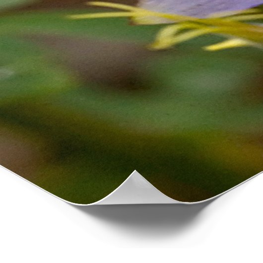 Volledige Lijst Columbine Poster (Hoek)