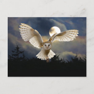 "Volledige maan" Briefkaart