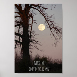 Volledige maan door Motivatie boomtakken Poster