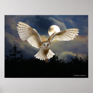 "Volledige maan" Poster