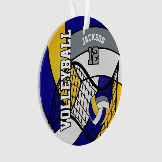 Volley-ball bleu, jaune et gris (devant)