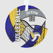 Volley-ball bleu, jaune et gris (dos)