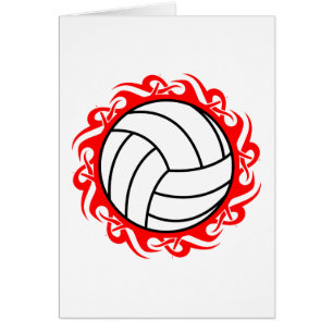 volleybal