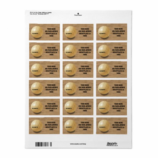 Volleybal Aangepaste Bal Adreslabel Etiket (Full Sheet)