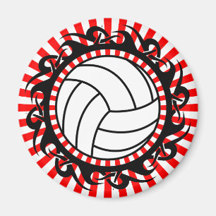 volleybal magneet