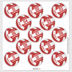 Volleybal Team Party 13 teamleden Custom Sticker