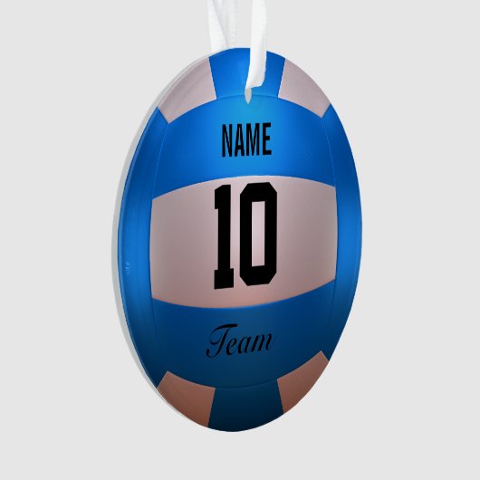 Volleyball bleu (devant)