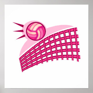 Volleyball & net poster