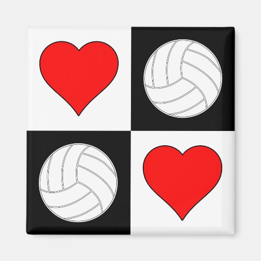 Volleyballen & het Decoratieve Magnet van het Patr Magneet (Voorkant)