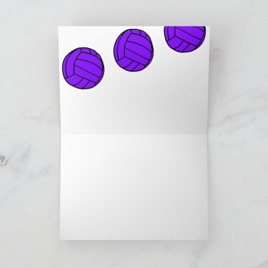 Volleyballs Violets - Merci (Intérieur)