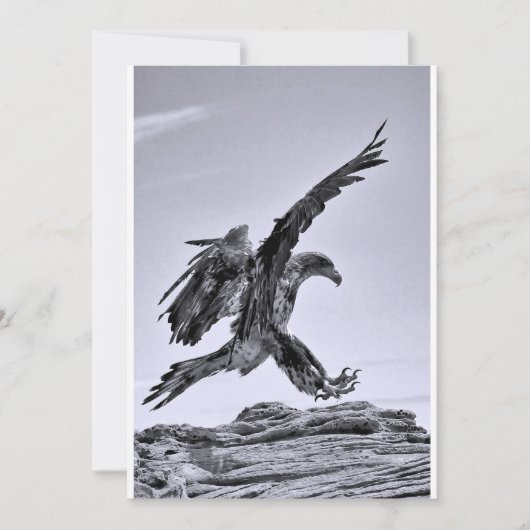 Vols à ma fête - Invitation (Devant)