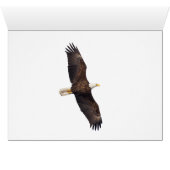 Vols au-delà de la lune (Intérieur Horizontal (Bas))