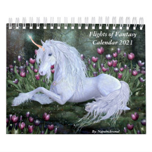 Vols du calendrier Imaginaire 2020