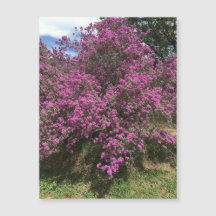 volwaardige rebellenmagneet