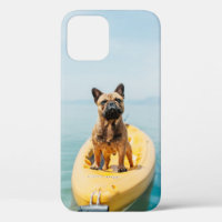 Volwassen bruine Franse bulldog op kayak