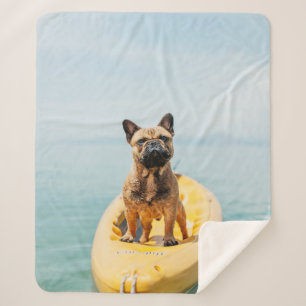 Volwassen bruine Franse bulldog op kayak Sherpa Deken