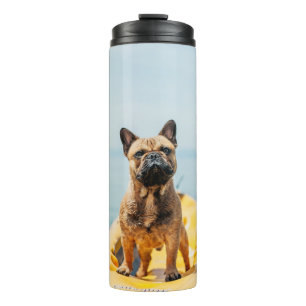 Volwassen bruine Franse bulldog op kayak Thermosbeker