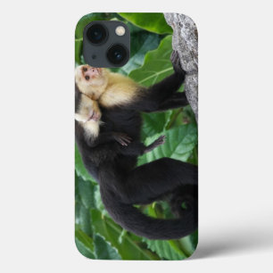 Volwassen capuchin-aap die Baby op de rug draagt iPhone 13 Hoesje