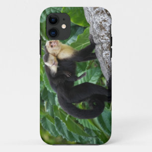 Volwassen capuchin-aap die Baby op de rug draagt iPhone 11 Hoesje