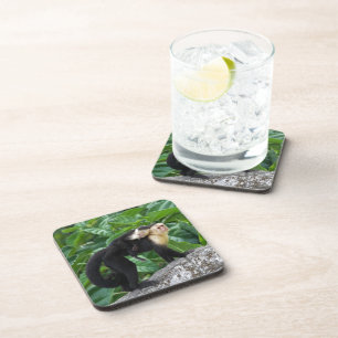 Volwassen capuchin-aap die Baby op de rug draagt Onderzetter