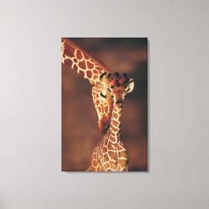 Volwassen Giraffe met kalf (Giraffa camelopardalis Canvas Afdruk
