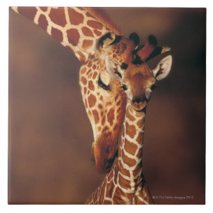 Volwassen Giraffe met kalf (Giraffa camelopardalis Tegeltje