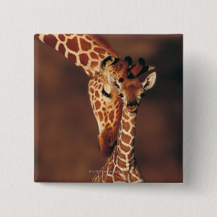Volwassen Giraffe met kalf (Giraffa camelopardalis Vierkante Button 5,1 Cm