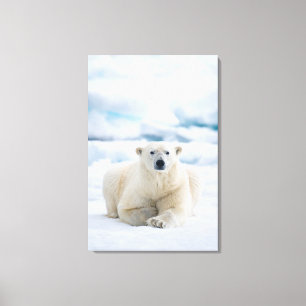 Volwassen ijsbeer op het zomerei canvas afdruk
