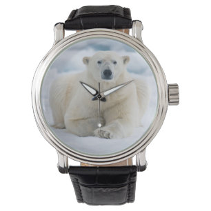 Volwassen ijsbeer op het zomerei horloge