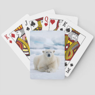 Volwassen ijsbeer op het zomerei pokerkaarten