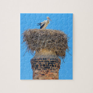 Volwassen ooievaar in nest op schoorsteen.JPG Legpuzzel