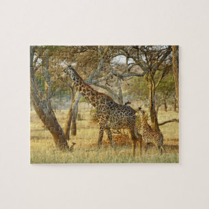 Volwassen vrouwelijke en jonge giraffe, Giraffa Legpuzzel