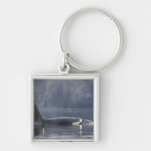 Volwassen vrouwelijke orka (Orcinus Orca), Puget Sleutelhanger