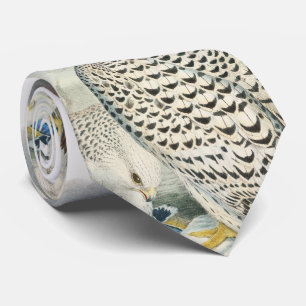 Volwassen zwarte valk vogels in Groot-Brittannië Stropdas