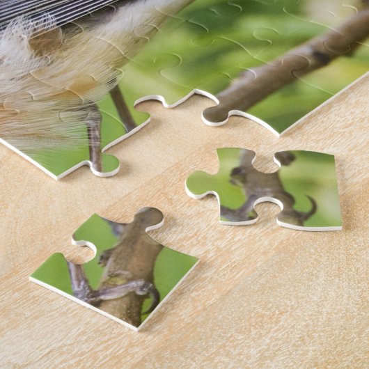 Volwassenen met de baai van Warbler (Dendroica cas Legpuzzel (Zijkant)