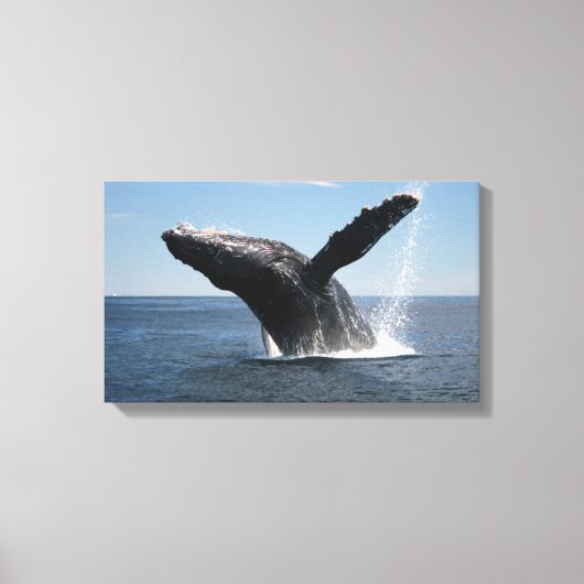 Volwassenen van de walvis canvas afdruk (Voorkant)