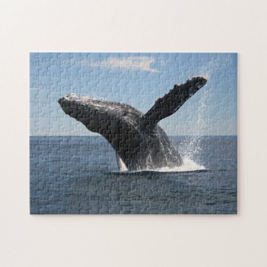 Volwassenen van de walvis legpuzzel (Horizontaal)